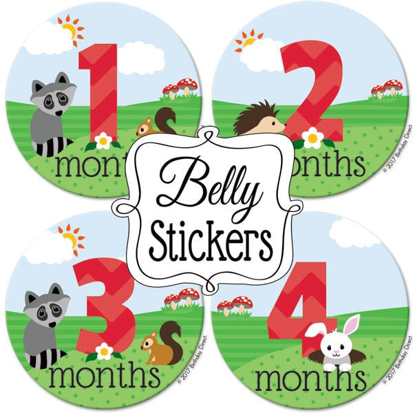 Woodland Animals Baby 1st Year Large Stickers,  4 inch diameter,  set of 12