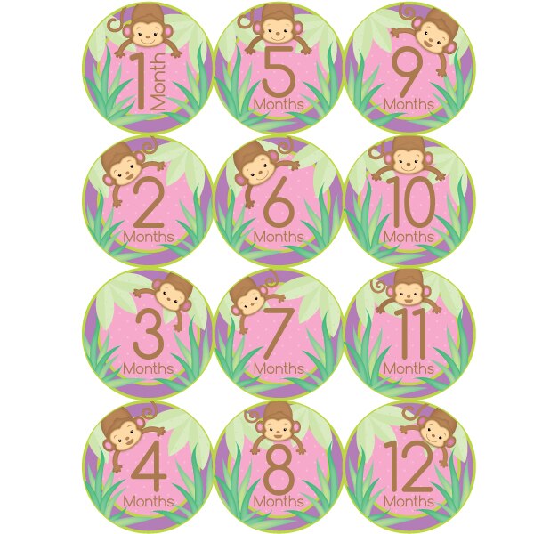 Lil Monkey Pink Baby Shower 1st Year Large Stickers,  4 inch diameter,  set of 12