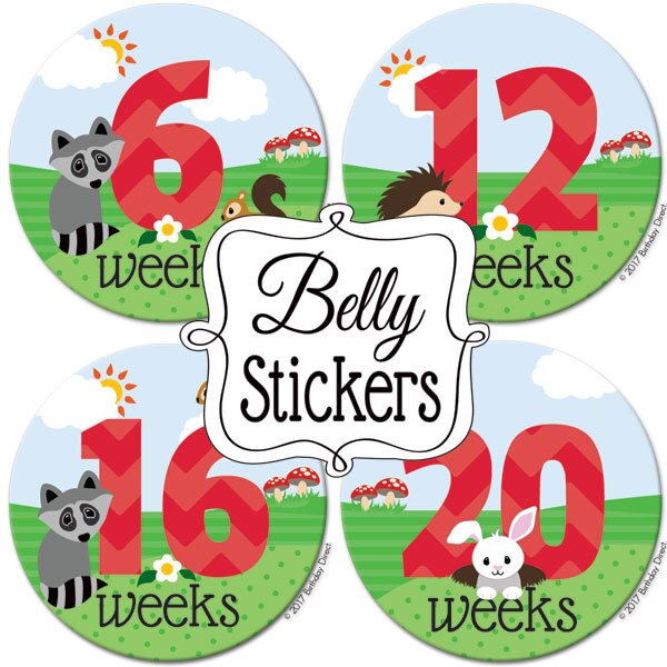Woodland Animals Baby Maternity Large Stickers,  4 inch diameter,  set of 12